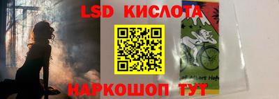 шишки Обь