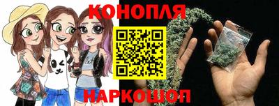 шишки Обь