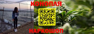 шишки Обь