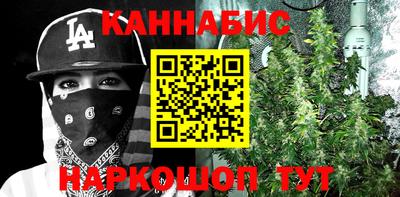 шишки Обь