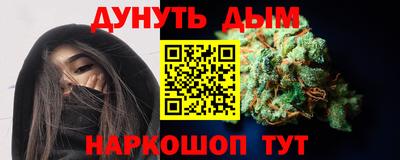 шишки Обь