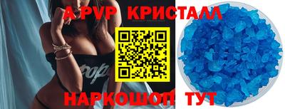 шишки Обь