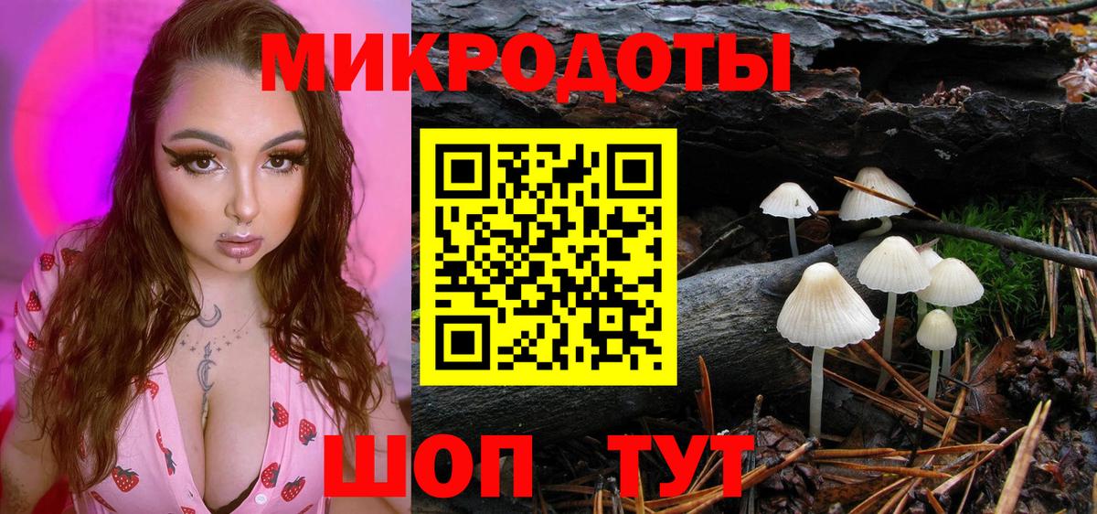 Псилоцибиновые грибы мухоморы Тимашёвск